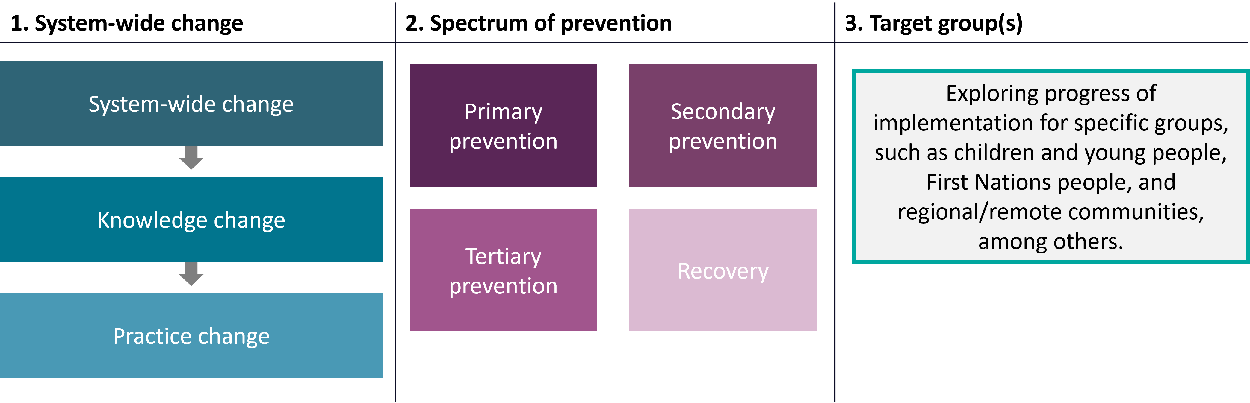The first category is the level of systems change, which includes system-wide change, knowledge change and practice change. The second category is the spectrum of prevention. This includes primary prevention, secondary prevention, tertiary prevention and recovery and rehabilitation. The final category involves mapping recommendations that are tailored to specific groups, such as children and young people, First Nations people, and regional or remote communities, among other groups. 